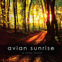Brightest Day_Avian Sunrise