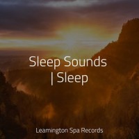 O2_Deep Sleep,Música Zen Relaxante,Avslappning Sound