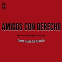Amigos Con Derecho (feat. Nene Malo)_Dani Avalos Remix,Nene Malo