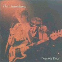 Less Than Human_The Chameleons