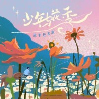 少年与花季_皮卡丘多多