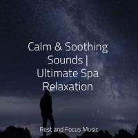 Whispering Lake_Academia de Música para Massagem e Relaxamento,Alpha Waves,Deep Sleep