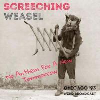 27 Things I Wanna Do To You_Screeching Weasel