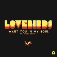Want You In My Soul_Lovebirds,Stee Downes