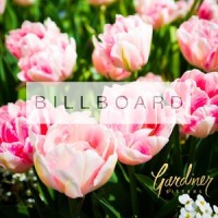 Billboard (If I'm Honest)_Gardiner Sisters