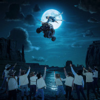 Sunshine_Oliver Tree
