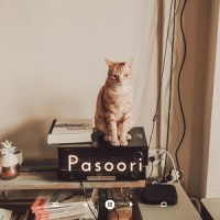 Pasoori_Arry,Ali Sethi