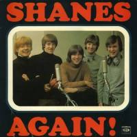 I Love the Way You Walk_The Shanes