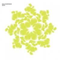 Morgum_Skúli Sverrisson,Eyvind Kang,Anthony Burr,Ólöf Arnalds