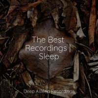 Softer Modes_Sleepy Times,Música De Relajación Para Dormir Profundamente,Organic Nature Sounds