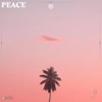 PEACE (VIP)_Jester
