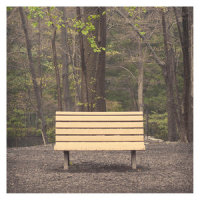 With Any Sort of Certainty_Streetlight Manifesto
