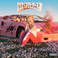 MOLLY_Chase Atlantic