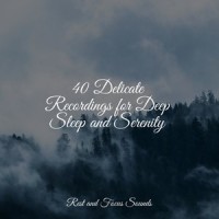 Falling Asleep Softly_Trouble Sleeping Music Universe,Sleep Waves,Deep Sleep