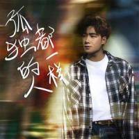 孤独的人都一样_陈雅森
