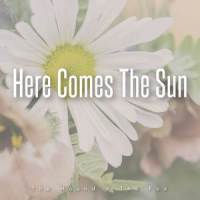 Here Comes The Sun_The Hound + The Fox