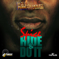 Hide & Do It_Spice