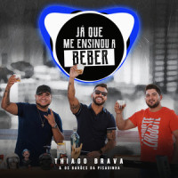 Já que me ensinou a beber_Thiago Brava,Os Barões da Pisadinha