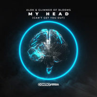 My Head (Can't Get You Out)_Alok,Glimmer of Blooms
