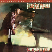 Honey Bee_Stevie Ray Vaughan