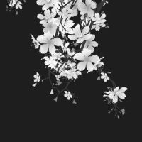 破碎_王极