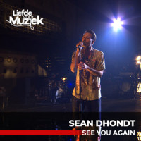 See You Again_Sean Dhondt