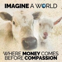 Imagine a World Where Money Comes Before Compassion(Animal Rights)_Fearless Soul
