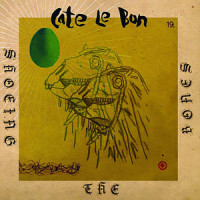 No One Can Drag Me Down_Cate le Bon