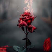 DARKSIDE (feat. REEN)_RoseFoe,Reen
