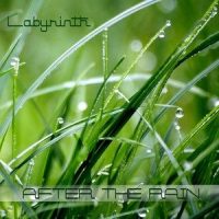 After the Rain_Labyrinth