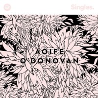 Stanley Park - Recorded at Spotify Studios NYC_Aoife O'Donovan