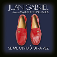 Se Me Olvidó Otra Vez_Juan Gabriel,Marco Antonio Solís