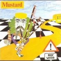 Look Through the Eyes of a Fool_Roy Wood