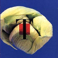 Daisy Field_T-SQUARE