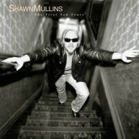What Is Life_Shawn Mullins