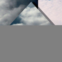 Images_Norman Palm