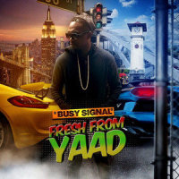 Free Up_Busy Signal