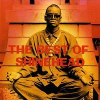 Jamaican in New York_Shinehead