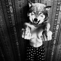 Start Now Stop_Lolawolf
