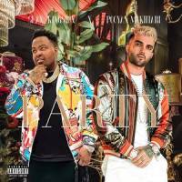 Party(feat. Sean Kingston)_Pooyan Mokhtari,Sean Kingston