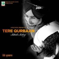 Aa Mil Yaar_Satinder Sartaaj