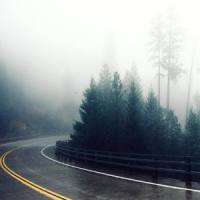 Beginnings_Tim Schaufert