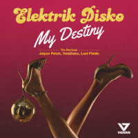 My Destiny_Elektrik Disko,Jolyon Petch
