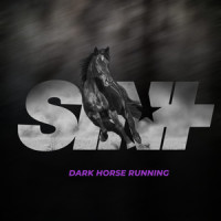 Dark Horse Running_Sinplus,Matteo Bassi,Ivan Broggini,Gabriel Broggini,Trey Bruce