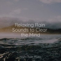 Rains Seriatim_Spa Music Relaxation,Tranquil Music Sounds of Nature,Sleepy Times