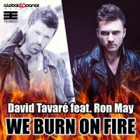We Burn on Fire_David Tavare,Ron May