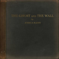 Not Today_Joshua Radin
