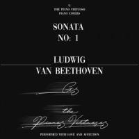 Sonata No. 1 in F minor, Op. 2: No. 1 - IV. Prestissimo_G The Piano Virtuoso,Ludwig van Beethoven