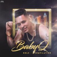 Lagrimas Para Un Recuerdo(feat. Fernando Villalona)_Baby Q,Fernando Villalona