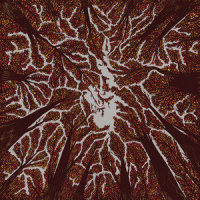 Crown Shyness_Trash Boat